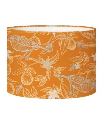 Abat-jours Abat-jour Lampadaire Oiseau Orange Acidulé Ø 45 X H 25 6 Abat-jours Abat-jour Lampadaire Oiseau Orange Acidulé Ø 45 X H 25 – Image 6